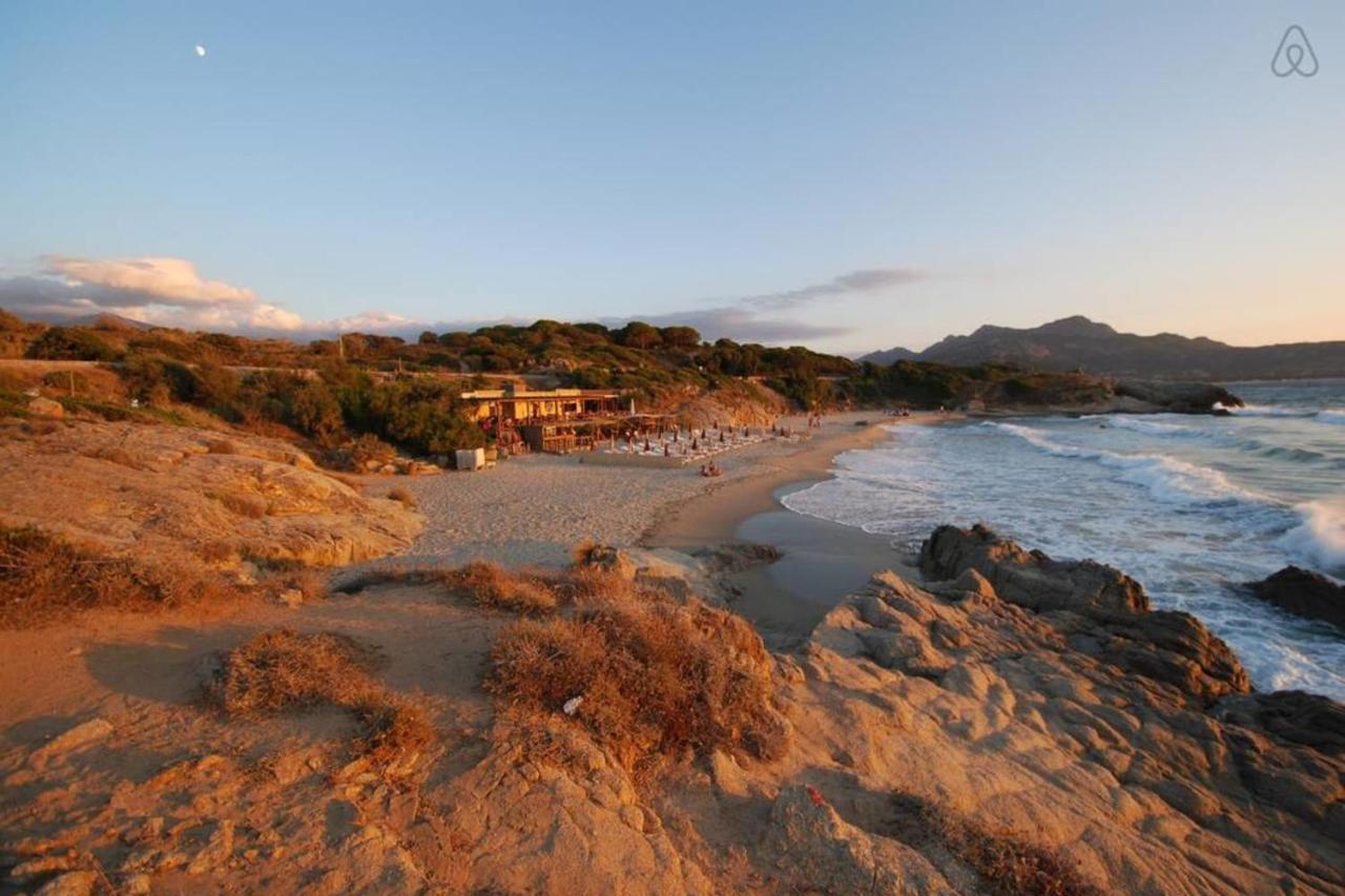 L'Orangeraie Calvi Centre A 300M De La Plage Et Du Port Parking Prive Екстериор снимка
