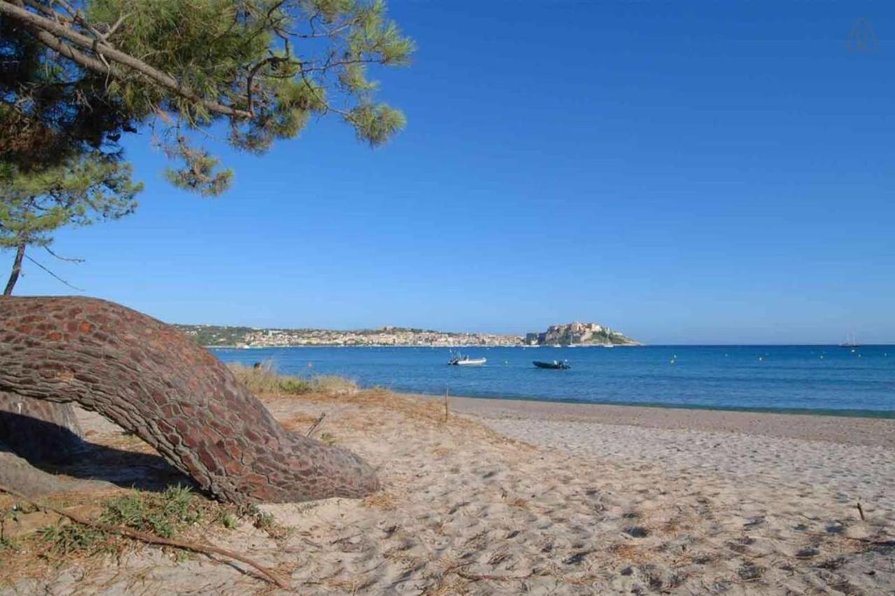 L'Orangeraie Calvi Centre A 300M De La Plage Et Du Port Parking Prive Екстериор снимка