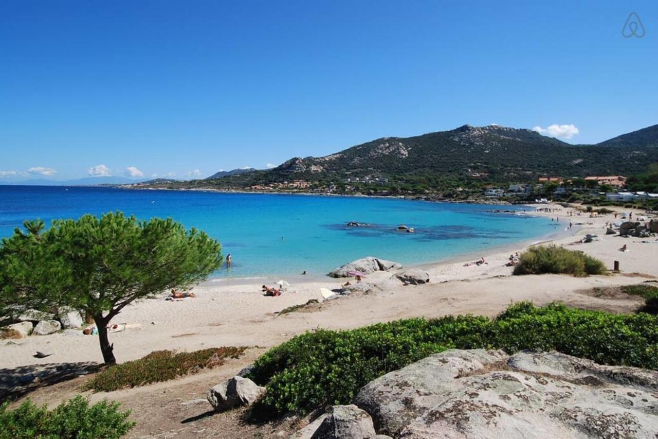 L'Orangeraie Calvi Centre A 300M De La Plage Et Du Port Parking Prive Екстериор снимка